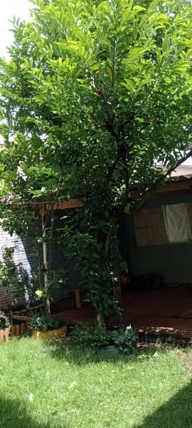 Casa à venda Jardim das Nações com 137m² e 2 quartos por R$ 370.000 - 1482837854-img-20230213-141046611-mfnr.jpg