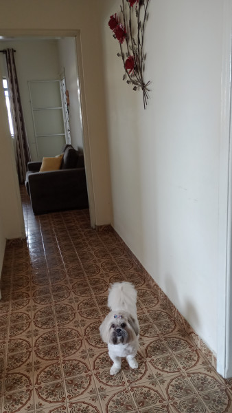 Casa à venda Jardim das Nações com 137m² e 2 quartos por R$ 370.000 - 1588421485-img-20230116-074933707-mfnr.jpg
