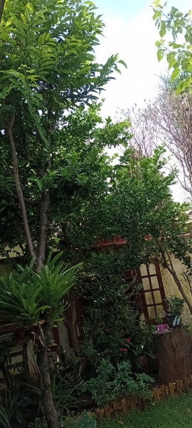 Casa à venda Jardim das Nações com 137m² e 2 quartos por R$ 370.000 - 1914052543-img-20230213-141028720-mfnr.jpg