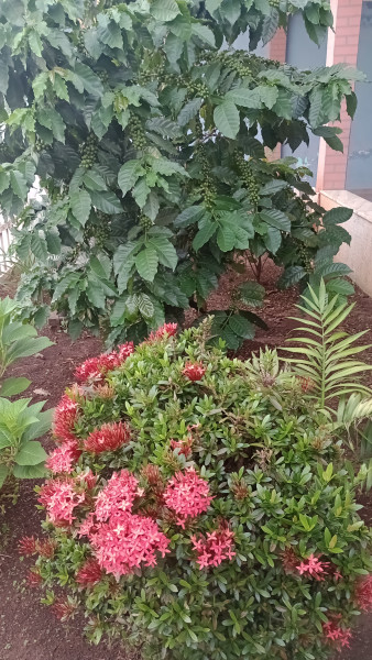 Casa à venda Jardim das Nações com 137m² e 2 quartos por R$ 370.000 - 2048495508-img-20230116-074816269-mfnr.jpg