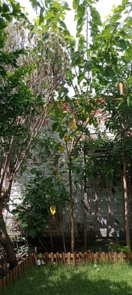 Casa à venda Jardim das Nações com 137m² e 2 quartos por R$ 370.000 - 698013415-img-20230213-141036472-mfnr.jpg
