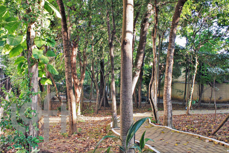 Apartamento à venda Jardim Brasília com 53m² e 2 quartos por R$ 320.000 - 1601311337-desktop-facade166.jpeg