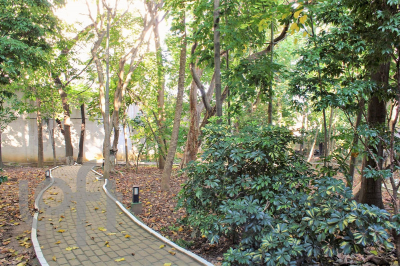 Apartamento à venda Jardim Brasília com 53m² e 2 quartos por R$ 320.000 - 430240116-desktop-facade145.jpeg
