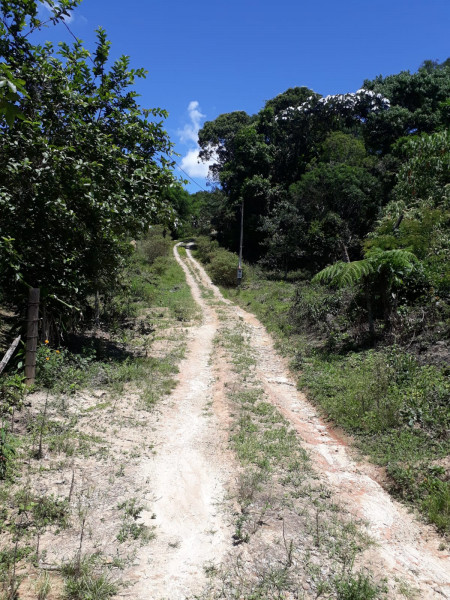 Chácara à venda Centro com 30m² e 3 quartos por R$ 750.000 - 1213638456-whatsapp-image-2023-02-12-at-14.jpeg