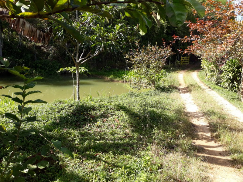 Chácara à venda Centro com 30m² e 3 quartos por R$ 750.000 - 1404158164-whatsapp-image-2023-02-12-at-14.jpeg