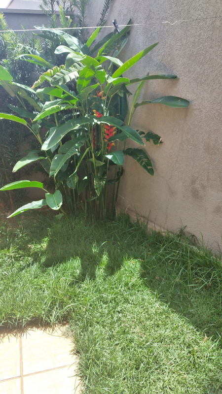 Casa à venda Vila Sedenho com 128m² e 2 quartos por R$ 459.000 - 1124679449-img-20221123-wa0078.jpeg