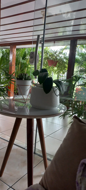 Casa à venda Jardim Paraiso com 120m² e 2 quartos por R$ 270.000 - 125209848-20230211-140320.jpg