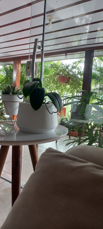 Casa à venda Jardim Paraiso com 120m² e 2 quartos por R$ 270.000 - 1291088392-20230211-140629.jpg