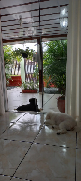 Casa à venda Jardim Paraiso com 120m² e 2 quartos por R$ 270.000 - 1509175253-screenshot-20230117-215940-photos.jpg