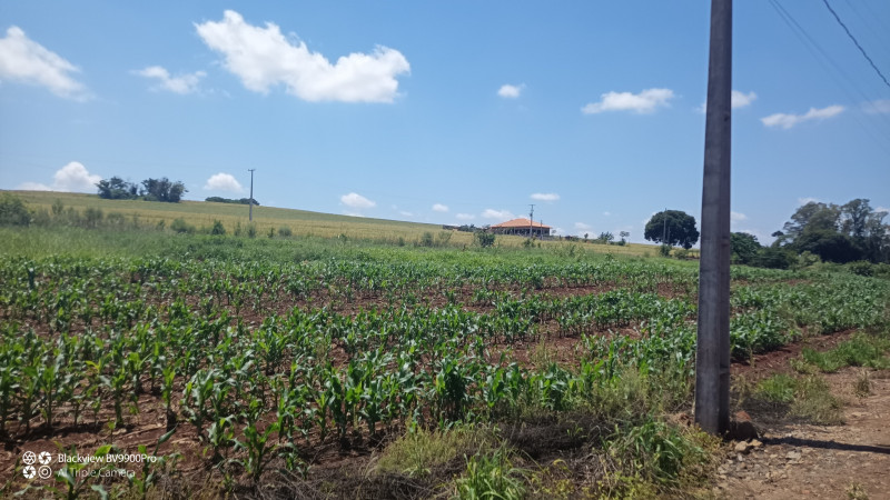 Chácara à venda Centro com 6000m² e 1 quarto por R$ 370.000 - 114219730-img-20220218-114613.jpg