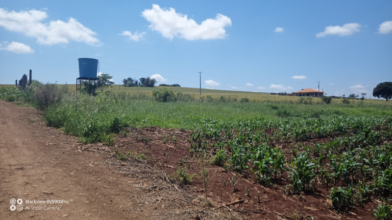 Chácara à venda Centro com 6000m² e 1 quarto por R$ 370.000 - 1784849106-img-20220218-114558.jpg