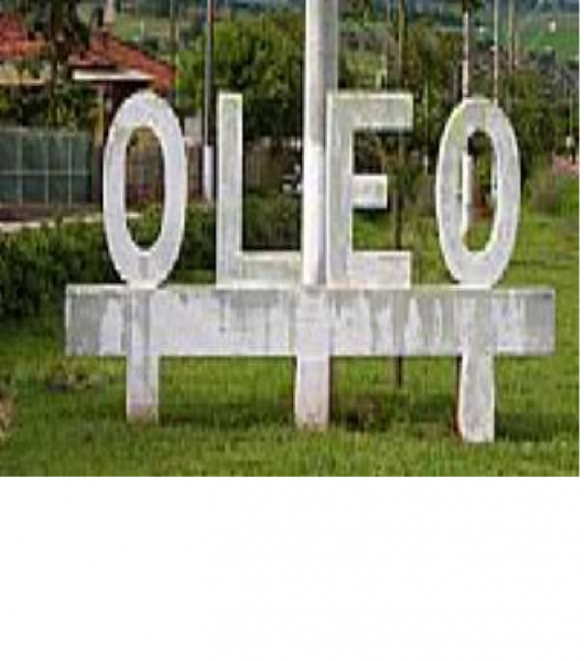 Chácara à venda Centro com 1557m² e 2 quartos por R$ 200.000 - 1627320210-oleo-2.png