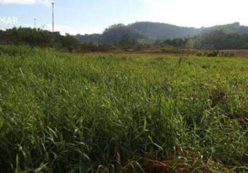 Terreno à venda Jardim Bela Vista com 250m² e 1 quarto por R$ 100.000 - 768188072-sc-araquari-itapocu-avenida-getulio-vargas-terreno-a-venda-614cbf6b-1.jpg