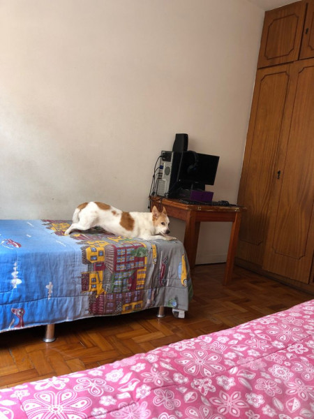 Apartamento à venda Embaré com 80m² e 2 quartos por R$ 369.000 - 1289938799-q-lateral-2.jpeg