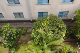 Apartamento à venda Jardim Etelvina com 55m² - 2 dormitórios -  vagas - R$ 150.000 - 705246572-18b8bef9-3272-40d1-b0db-7e7adf962a9b.jpg
