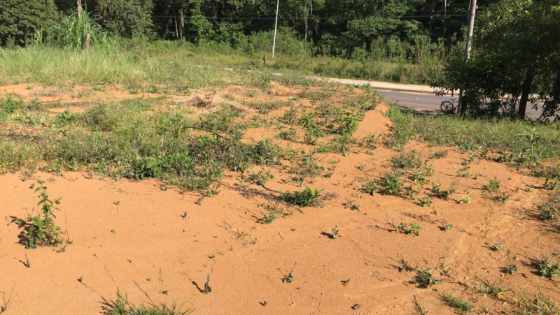 Terreno à venda Rau com 477m² e 1 quarto por R$ 270.000 - 1458275533-1.jpeg