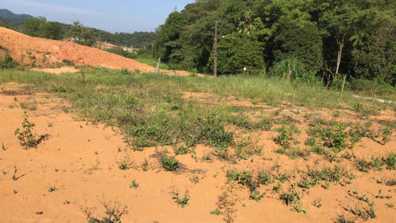 Terreno à venda Rau com 477m² e 1 quarto por R$ 270.000 - 876428233-2.jpeg