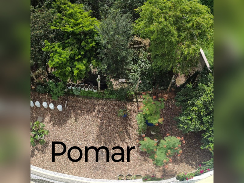 imóvel com 155m² - Dos Estados - Timbo