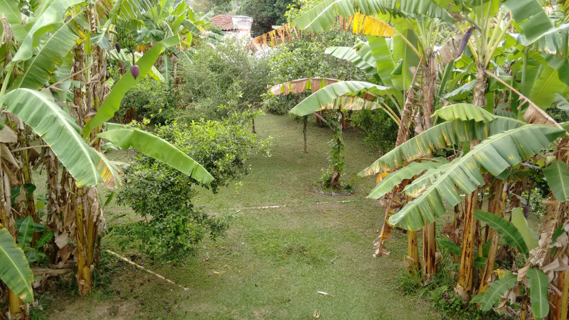 Chácara à venda São Francisco com 200m² e 4 quartos por R$ 600.000 - 1244878155-img-20151105-wa0005.jpg
