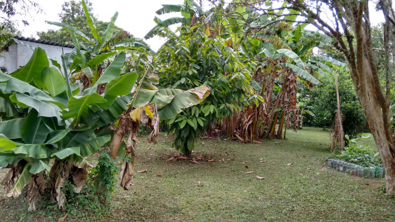 Chácara à venda São Francisco com 200m² e 4 quartos por R$ 600.000 - 1946804016-img-20151105-wa0004.jpg