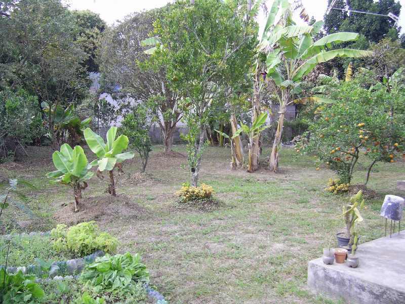 Chácara à venda São Francisco com 200m² e 4 quartos por R$ 600.000 - 839475794-foto-casa-pomar.JPG