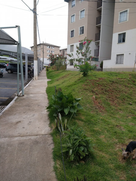 Apartamento à venda Paulo VI com 48m² e 2 quartos por R$ 153.000 - 1252692007-whatsapp-image-2023-02-16-at-10.jpeg