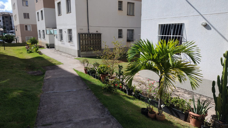 Apartamento à venda Paulo VI com 48m² e 2 quartos por R$ 153.000 - 752219381-whatsapp-image-2023-02-23-at-08.jpeg