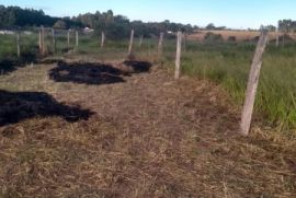 Terreno à venda Vila Mazzei com 805m² - 1 dormitório -  vagas - R$ 85.000 - 1353261524-whatsapp-image-2023-02-23-at-10.jpeg