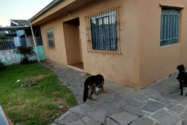 Casa à venda Scharlau com 360m² - 2 dormitórios -  vagas - R$ 310.000 - 1365333023-whatsapp-image-2023-02-06-at-19.jpeg