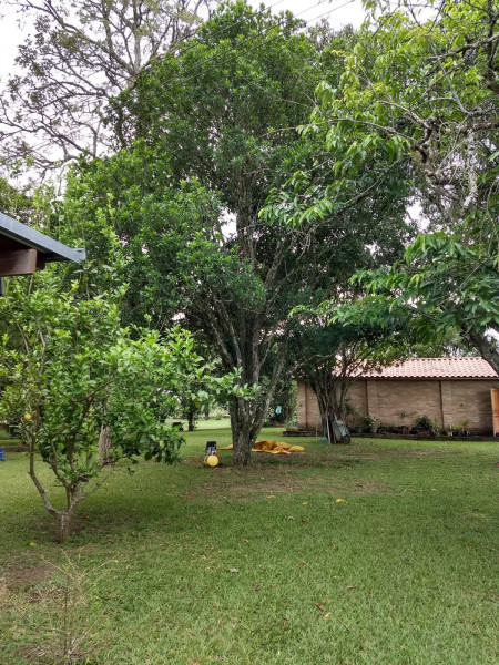 Casa de condomínio à venda Parque Residencial Maria Elmira com 5000m² e 4 quartos por R$ 1.000.000 - 807593265-quintal-2.jpg