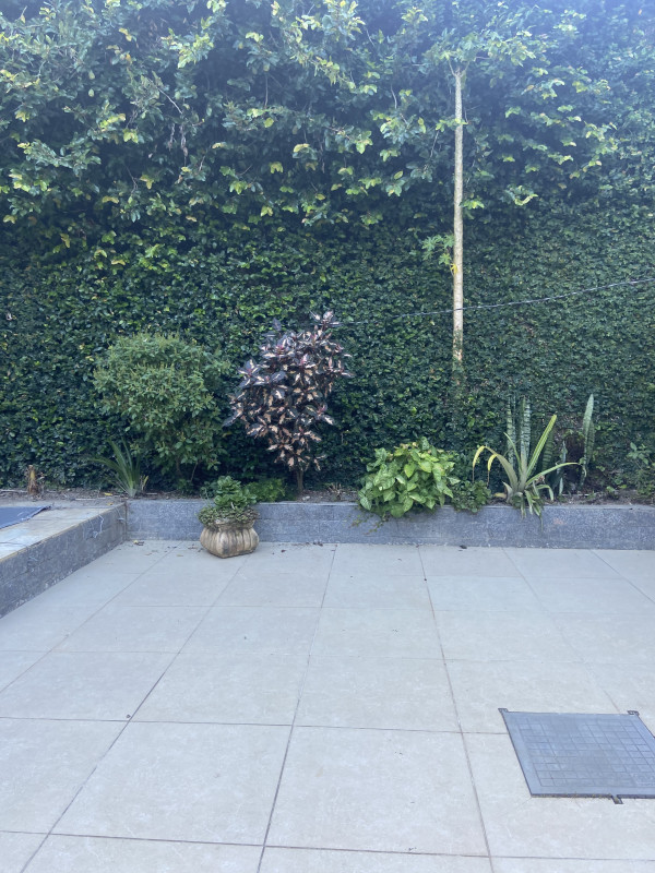 Casa à venda Vila Progresso com 280m² e 4 quartos por R$ 1.400.000 - 1971423516-dc771239-e44f-4a81-9652-2a1b1ac8c289.jpeg