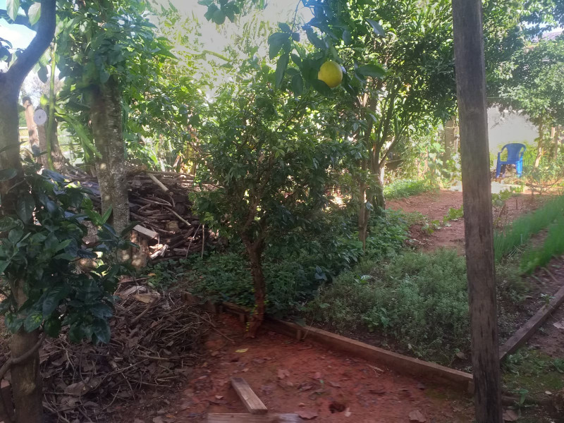 Casa à venda São Gabriel com 158m² e 4 quartos por R$ 1.200.000 - 1387146248-whatsapp-image-2023-02-25-at-16.jpeg