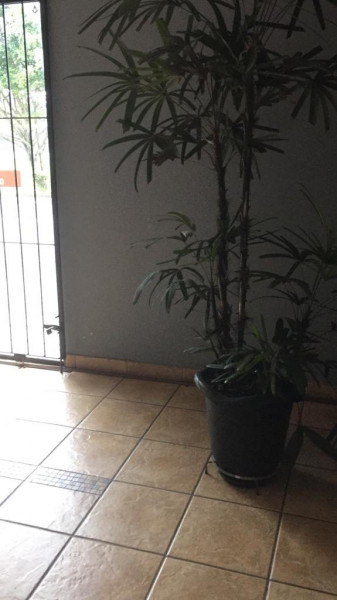 Casa à venda Balneario Itaguaí com 100m² e 3 quartos por R$ 575.000 - 295731678-whatsapp-image-2023-02-27-at-10.jpeg