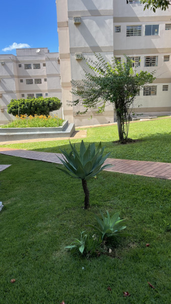 Apartamento à venda Monte Castelo com 60m² e 2 quartos por R$ 260.000 - 1587611976-b88eedde-2b9c-4e46-b322-79036e3d7c94.jpeg