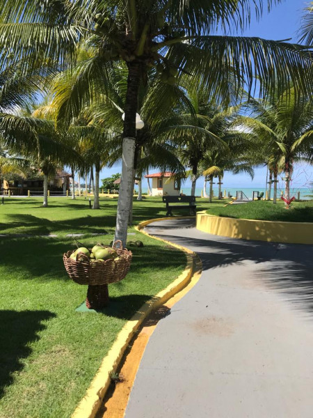 Casa de condomínio à venda Centro com 150m² e 3 quartos por R$ 720.000 - 1739450303-whatsapp-image-2023-02-02-at-13.jpeg