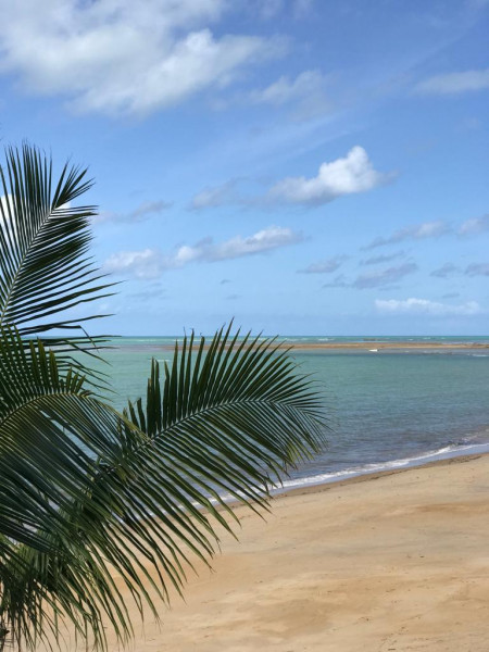 Casa de condomínio à venda Centro com 150m² e 3 quartos por R$ 720.000 - 495821066-whatsapp-image-2023-02-02-at-13.jpeg