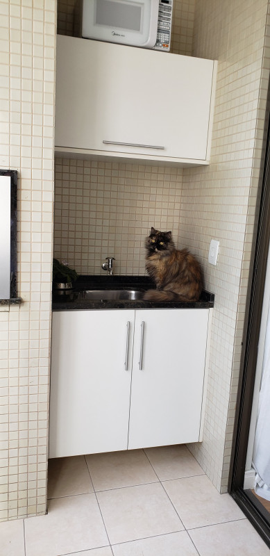 Apartamento à venda Vila Izabel com 92m² e 3 quartos por R$ 599.000 - 1803283382-20221216-165056.jpg