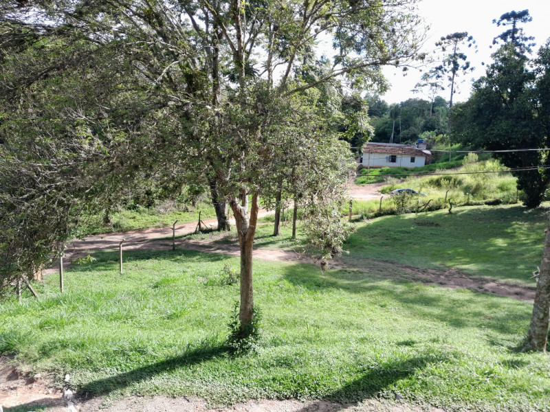 Terreno à venda Chácaras Embu Colonial com 11000m² e 1 quarto por R$ 2.800.000 - 141878665-img-20230216-wa0032.jpg
