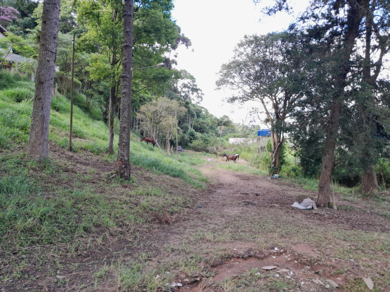 Terreno à venda Chácaras Embu Colonial com 11000m² e 1 quarto por R$ 2.800.000 - 1628941304-img-20230216-wa0028.jpg