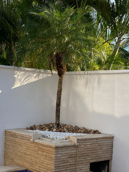 Casa de condomínio à venda Praia de Maresias com 151m² e 3 quartos por R$ 2.100.000 - 929682014-b135a515-81ea-4951-b527-6754eb8da4db.jpg