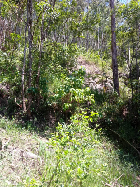 Terreno à venda CENTRO com 20000m² e 1 quarto por R$ 280.000 - 1405793278-17.jpeg