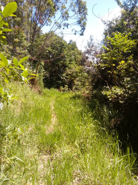 Terreno à venda CENTRO com 20000m² e 1 quarto por R$ 280.000 - 1957784944-18.jpeg
