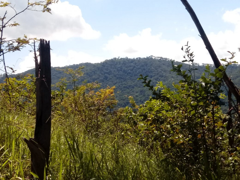 Terreno à venda CENTRO com 20000m² e 1 quarto por R$ 280.000 - 897089257-7.jpeg