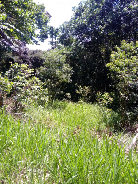 Terreno à venda CENTRO com 20000m² e 1 quarto por R$ 280.000 - 933419513-16.jpeg