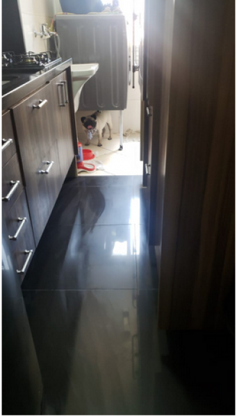 Apartamento à venda Centro com 53m² e 2 quartos por R$ 500.000 - 716143860-cozinha-aberta-2.png