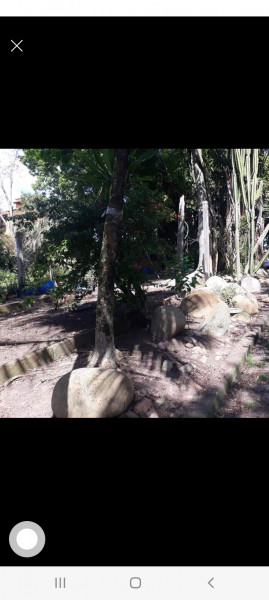 Chácara à venda Belém Novo com 3500m² e 5 quartos por R$ 700.000 - 1090014753-screenshot-20230307-080923-facebook.jpg