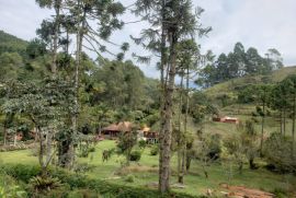 Sítio à venda Centro com 17000m² - 3 dormitórios -  vagas - R$ 1.600.000 - 1903578534-whatsapp-image-2023-03-07-at-12.jpeg