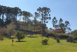 Sítio à venda Centro com 17000m² - 3 dormitórios -  vagas - R$ 1.600.000 - 474664698-whatsapp-image-2023-03-01-at-17.jpeg