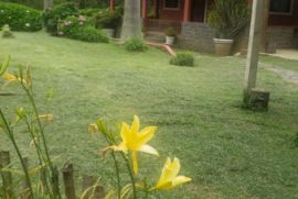 Sítio à venda Centro com 17000m² - 3 dormitórios -  vagas - R$ 1.600.000 - 725062419-whatsapp-image-2023-03-07-at-12.jpeg
