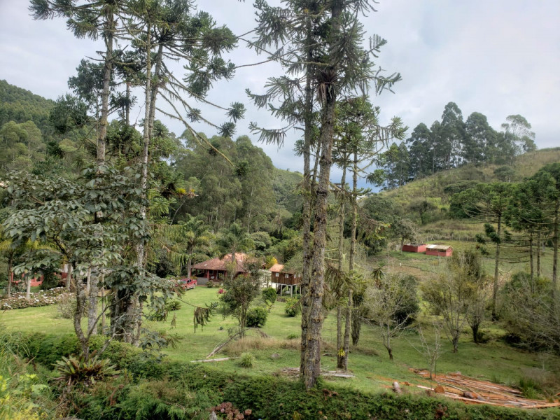 Sítio à venda Centro com 17000m² e 3 quartos por R$ 1.600.000 - 1903578534-whatsapp-image-2023-03-07-at-12.jpeg